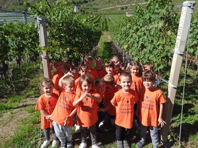 I bambini del Giardino d’Infanzia hanno fatto vendemmia