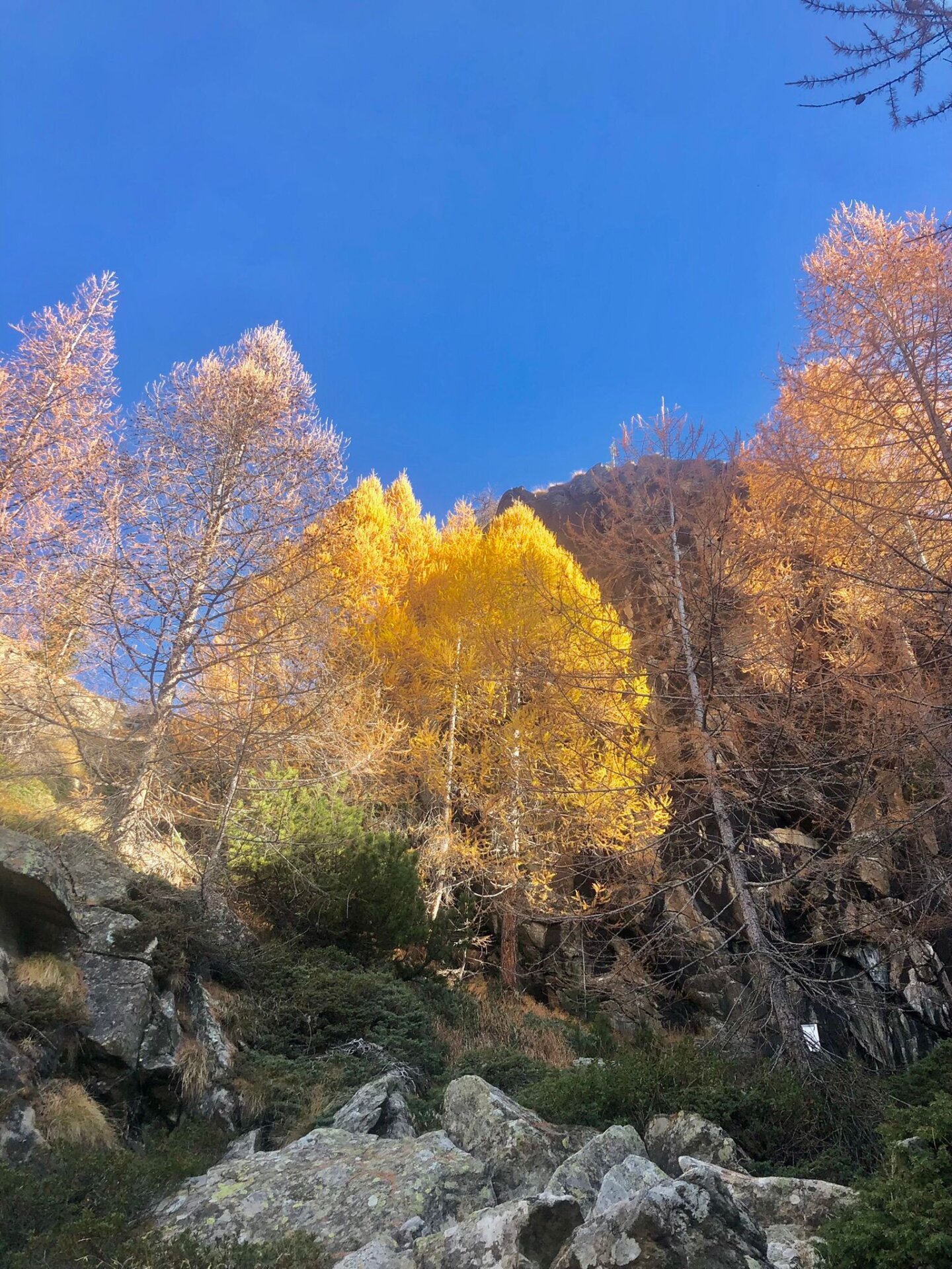 Foliage in Valmasino, foto inviata da Rossana