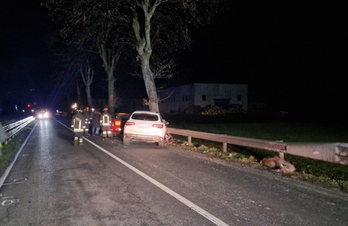 Tragico incidente stradale, muore 62enne. A provocare lo schianto forse è stato un cervo