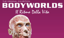 A Milano prorogata la mostra "Body worlds"