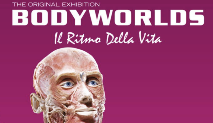 A Milano prorogata la mostra “Body worlds”