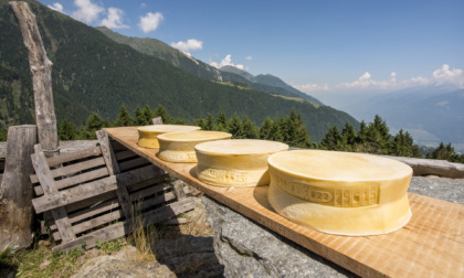 Un aperitivo in quota con i formaggi Dop di Valtellina