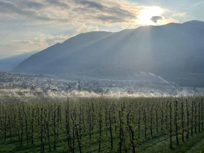 Maltempo, frutta e verdura al gelo:  nel Tiranese in azione impianti salva mele