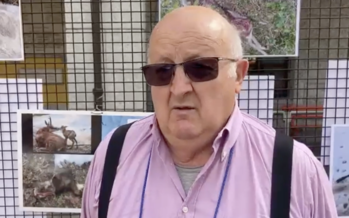 Continuano le predazioni da parte dei lupi, la protesta: “Non si può andare avanti così”