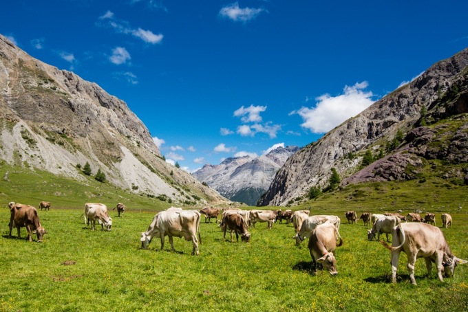 Estate 2023 in Valtellina: ecco le 10 cose da non perdere