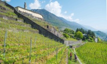 Un Fam Trip per far conoscere la Valtellina a tour operator esteri
