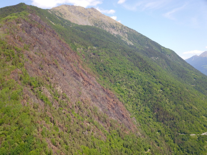 Due incontri dedicati agli incendi boschivi