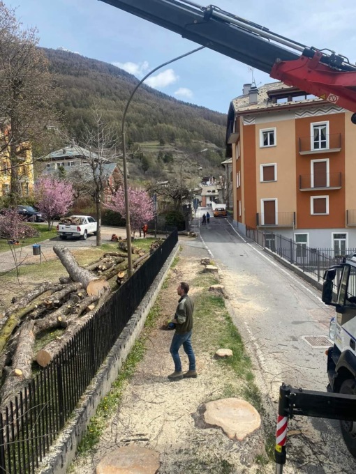 Hanno tagliato le piante fuori dalle Terme