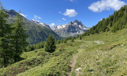 Trekking, natura e gastronomia: in Val Viola si “Camina e Spizigola”