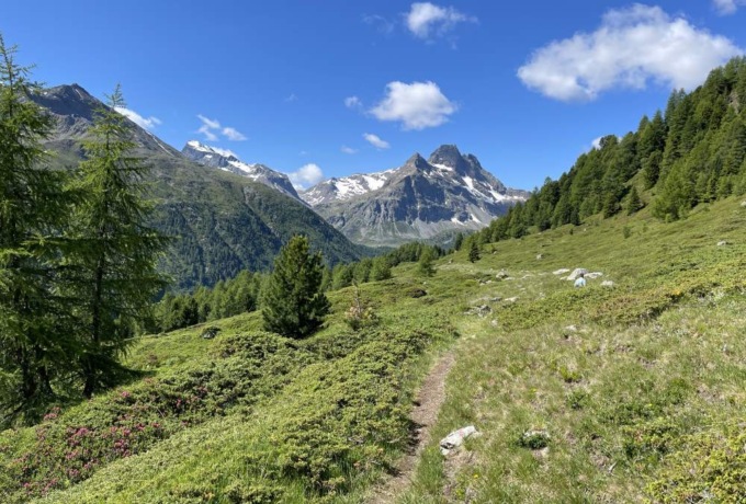Trekking, natura e gastronomia: in Val Viola si “Camina e Spizigola”