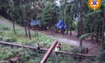 Tragedia al campo scout: giovane ragazza uccisa da un albero caduto sulla tenda