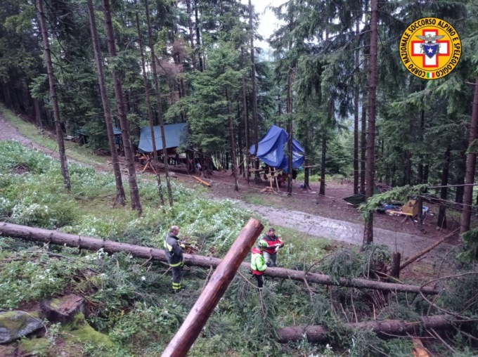 Tragedia al campo scout: giovane ragazza uccisa da un albero caduto sulla tenda