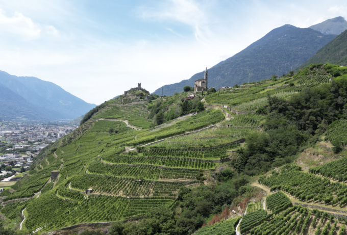 Cinque vini valtellinesi premiati con Tre Bicchieri Gambero Rosso