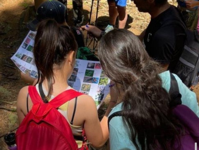 Salva le foreste con WOWnature: evento per la protezione  ambientale ad Alfaedo