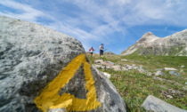 Valmalenco Ultra Distance Trail: esperienza epica per gli amanti del trail