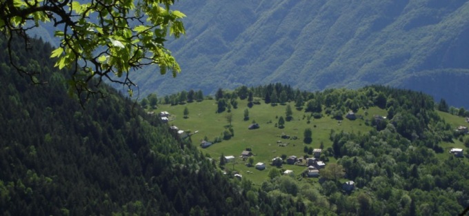 Sagra del Polletto a Pratella