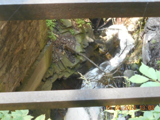 “Fogna nel torrente, è una bomba a orologeria per il territorio intero”