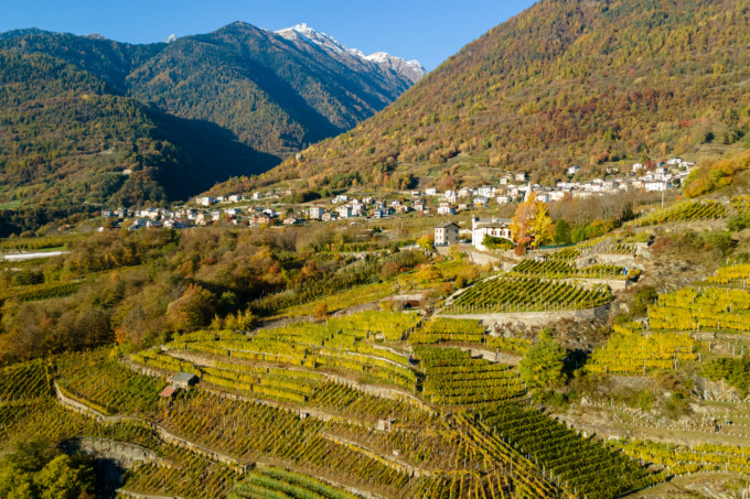 Cambiamento climatico e agricoltura: un approfondimento incentrato sulla Provincia di Sondrio