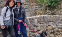 Cadono nel torrente per salvare il cane, ancora non si trovano Rosy Corallo e Veronica Malini