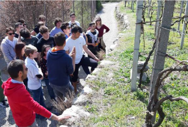 Inserimento nel mondo del lavoro: cinque nuovi laboratori offerti dall’ITS Agroalimentare