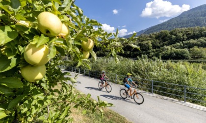 Esperti bike alla scoperta del territorio: estratti i vincitori del concorso “Scatta in Valtellina”