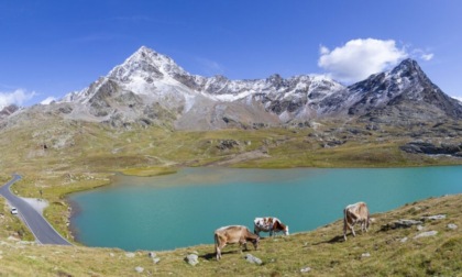 Lago bianco, una passeggiata per il no ai lavori