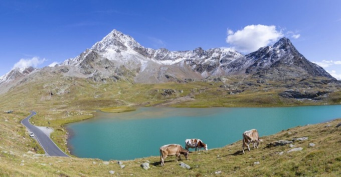 Lago Bianco, tutto tornerà come prima