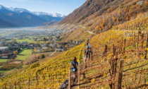 Valtellina Wine Trail: decima edizione sold out con tante novità