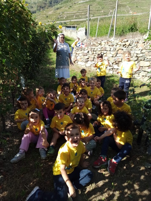 I piccoli del Giardino d’infanzia impegnati nella vendemmia della vigna Gasparotti