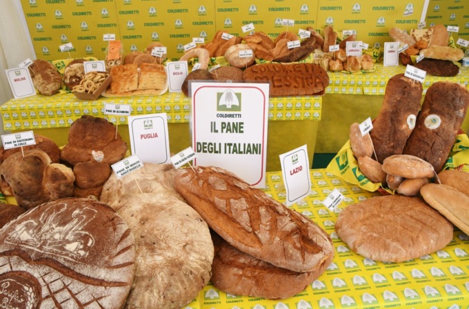 Coldiretti Sondrio: “Sempre meno pane  a tavola, una risposta dalle filiere locali”