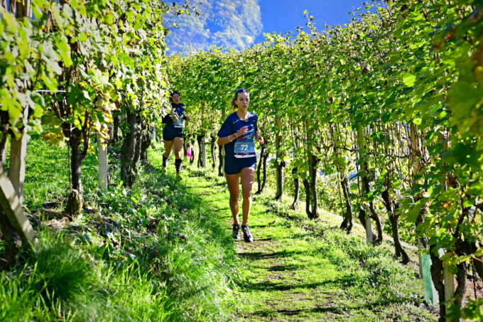 Valtellina Wine Trail: gli studenti alzano il sipario sulla 10ª edizione