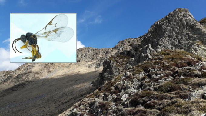 Le montagna dell’Alto Lario al centro di uno studio pubblicato all’interno di una importante rivista scientifica