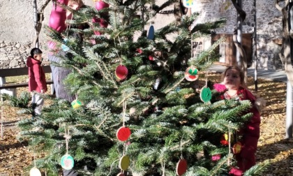 Inaugurazione dell’albero di Natale dell’amicizia nato dalla collaborazione tra tanti bambini