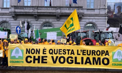 Protesta trattori: agricoltori dalla Valtellina in piazza a Bruxelles