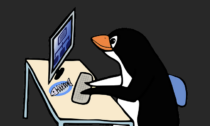 Conoscere meglio il sisema operativo di Linux