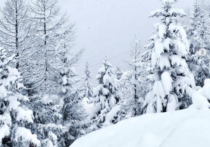 Che spettacolo la neve che torna in Provincia di Sondrio LE FOTO