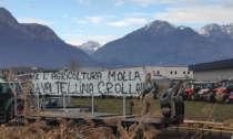 "Se l'agricoltura molla, la Valtellina crolla": trattori in protesta lungo la Statale 38 VIDEO