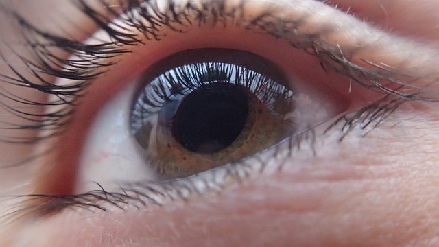 Settimana Mondiale del Glaucoma: 100 le piazze per fare informazione