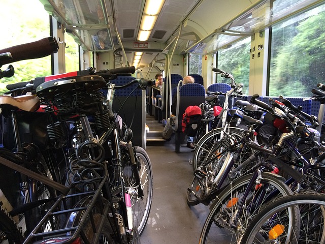 Bici e animali viaggiano gratis in treno dal 1° aprile