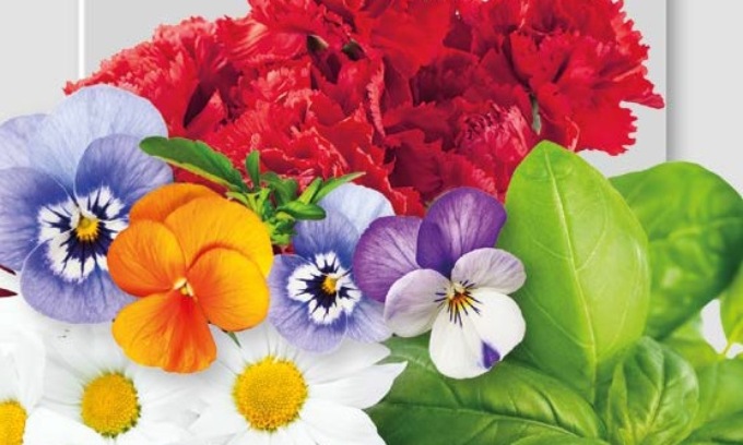 In regalo con Centro Valle bellissimi fiori da mangiare
