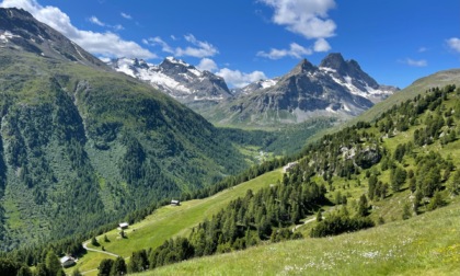 Torna l’evento "Camina e Spizigola"