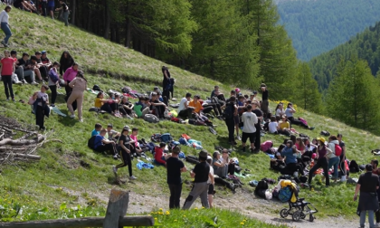 Salvaguardia dei boschi, le scuole di Livigno e Trepalle impegnate attivamente nella Festa degli Alberi