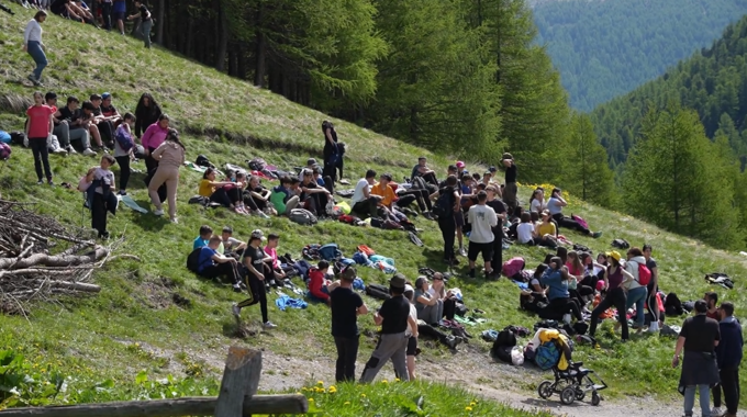 Salvaguardia dei boschi, le scuole di Livigno e Trepalle impegnate attivamente nella Festa degli Alberi