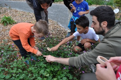 La Valmalenco si prepara ad accogliere la terza edizione del Festival delle piante officinali
