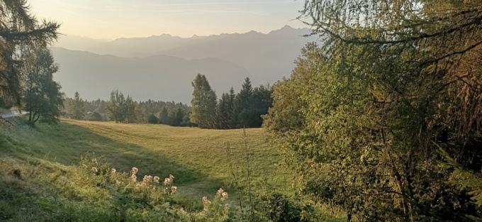 Un Design Festival per immaginare nuove connessioni con la Natura