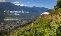 Nuovo portale per la Strada del Vino e dei Sapori di Valtellina