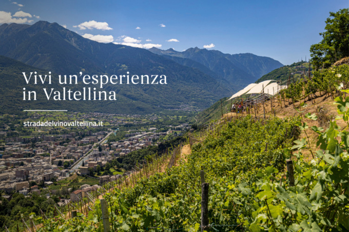 Nuovo portale per la Strada del Vino e dei Sapori di Valtellina