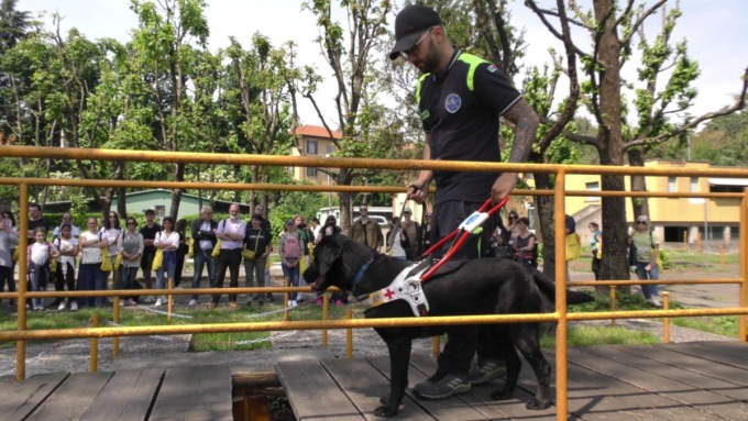 Dimostrazione di cani guida per non vedenti