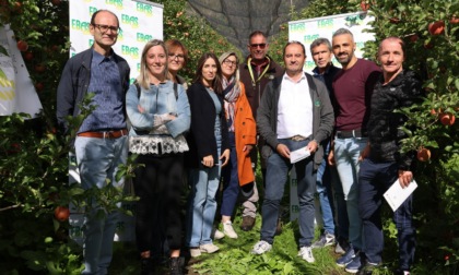 Sicurezza sul lavoro in agricoltura, presentato l'opuscolo dell'Ente Bilaterale