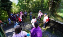 Migiondàra in rosa: è confermata l’iniziativa dedicata alla prevenzione